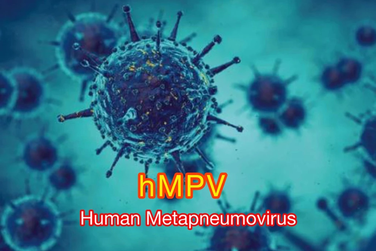 hmpv virus image